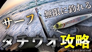 入れ食い！無限に釣れるサーフ太刀魚攻略