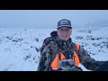 mike s montana bull elk hunt 2021