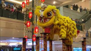 21 Jan 2025 Barongsai Lion Dance Imlek CNY Puri Indah Mall Jakarta Indonesia