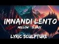 Mellow & Sleazy x SjavasDeejay x TitoM - Imnandi lento (Lyrics) feat. Tman Xpress  | 30mins with C