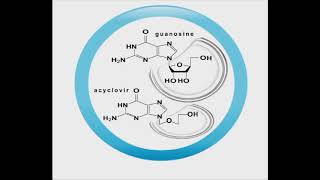 Antiviral animation: Acyclovir