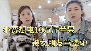 小贾想屯10万斤苹果放冷库，被女朋友骂犟驴，阿莲姐：赔个底朝天