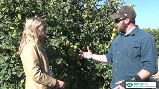 Ventura County Grower Spotlight Limoneira Ag Operation