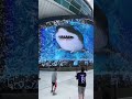 FUNNY Baby Shark 3D Display