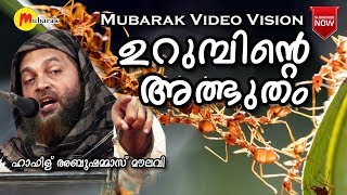 ഉറുമ്പിന്റെ അത്ഭുതം ഖുർആനിലൂടെ | Latest Islamic Speech In Malayalam Abu Shammas Moulavi