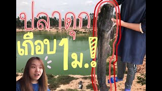 Vlog กางมองหลังบ้าน ได้ปลาดุกยักษ์ยาวเกือบเมตร!!!!