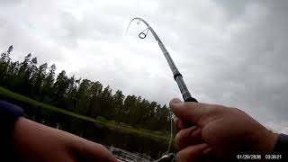 Topwater Hecht Livebiss Schweden