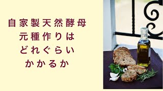 【自家製天然酵母】元種作りはどれぐらいでできるのか？　フルーツ酵母　自家製天然酵母　パン教室　教室開業　大阪　奈良　東京　福岡　名古屋