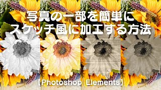 写真の一部を簡単にスケッチ風に加工する方法【Photoshop Elements】