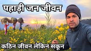 पहाड़ों का कठिन जीवन || लेकिन सकून || pahadi lifestyle vlog|| Pahadi Vrasat vlog