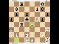 brilliancy against a world champion vidmar vs euwe 1929