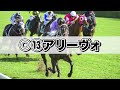 【宝塚記念2022 予想】本命は穴馬勝負！ラップ適性・馬場傾向も合致の本命馬！