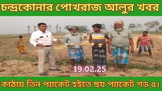 কাটা প্রতি তিন প্যাকেট হইতে হাইয়েস্ট ৬ প্যাকেট গর অ্যাভারেজ চার প্যাকেট ।