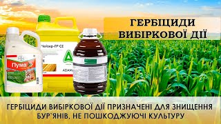 Гербіциди вибіркової дії: Пріма, Подмарин, Чейзер П, Гроділ Максі, Пума Супер, Тарга Супер та ін.