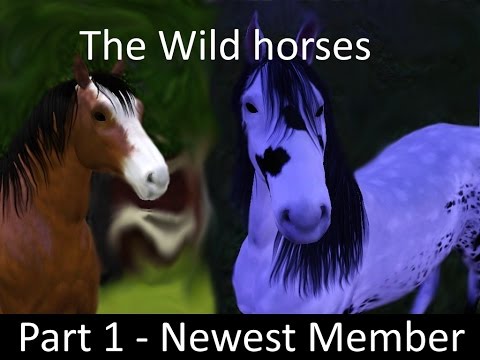 Wild Horses part 1 - Sims 3 Horse Story Wild Horses part 1 - Sims 3 Horse Story