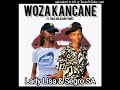 Woza Kancane - Lady Lisa & Segro SA ft. Music Essential Djs & Yoks 304