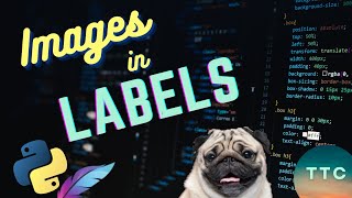 Python Tkinter Beginner - Images in Labels