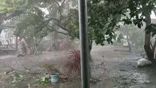 Typhoon Nika Onslaught at Sili, Aurora, Isabela