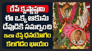 కృష్ణాష్టమి రోజు ఈ ఒక్క ఆకును దేవుడికి సమర్పించి ఇలా చేస్తే ధనయోగం krishna janmashtami 2020