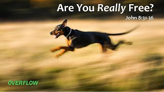 Are You Really Free
