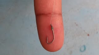 ചെറിയ ചൂണ്ട വച്ച് ഒരു മീൻ പിടുത്തം (Fishing with micro hook)