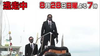 【逃走中】 ~上陸! 猛獣の島~ TVCM 4パターン