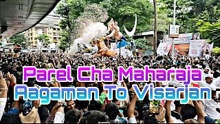 Parel Cha Maharaja Aagaman To Visarjan 2023 | Tital Songs - Jalwa_Re_Jalwa | Sarkar Movie |