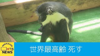 世界最高齢３９歳のダイアナモンキー…「ワシントン」死ぬ　円山動物園