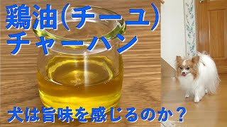 【犬の手作りごはん】鶏油（チーユ）チャーハン