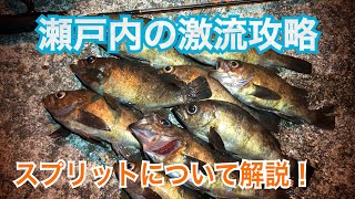 【メバリング】瀬戸内の激流を攻略⁉️〜スプリットリグ講座〜