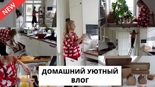 ✨ЧИСТОТА НА КУХНЕ| покупки к НГ🎄спокойные будни дома 🏠