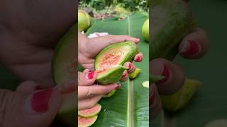 Unboking Red Guava #guava