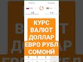 Курс валют доллар Евро рубл сомонӣ