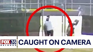 Deputies: Parent knocks out umpire