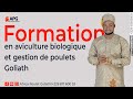 FORMATION EN AVICULTURE BIOLOGIQUE: GESTION DE POULETS GOLIATH