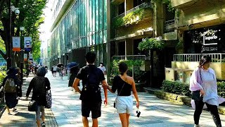 【4K】Tokyo Walk Shibuya to Omotesando , Harajuku 渋谷～表参道・原宿までの散歩 2020.08