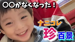 【2歳ナニコレ珍百景】男の子は一度はやったことあるよ…ね。#shorts