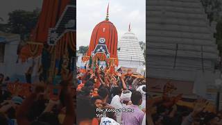 Pov: Koraput Ratha Yatra 2023 #rathayatra #shorts #koraput #crowd #odisha