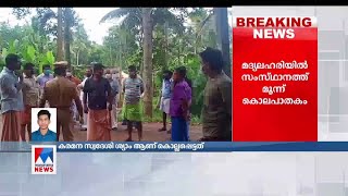 മദ്യലഹരിയില്‍ വാക്കുതര്‍ക്കം; ബാലരാമപുരത്ത് ഓ‌ട്ടോഡ്രൈവര്‍ കൊല്ലപ്പെട്ടു | Balaramapuram Auto driver