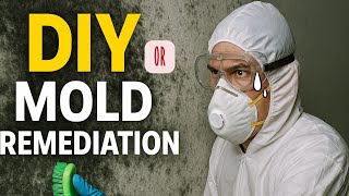 DIY Mold Remediation   What to Do If You Find MOLD and When You Should Call a Professional