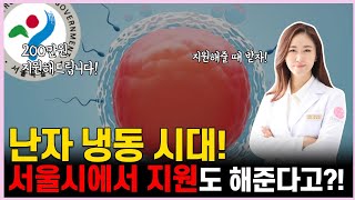 난자냉동 과정, 난자 냉동 서울시 200만원까지 지원 결정!