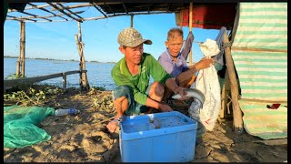 TẬP. 29 .tháng này nước rút cá lóc già xuất hiện ngày càng nhiều /GIÓ LÀNG QUÊ