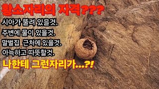 열라 빡씬 토종벌통 설치! #토종벌 #설통 #honeybee #ASMR