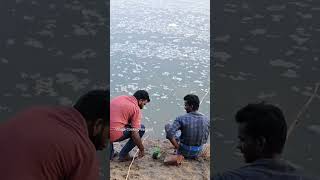 💥தூண்டில் கழியா இது 😱 இவ்வளவு பெருசா இருக்கு🎣 #shorts