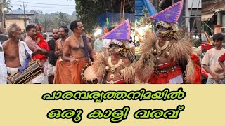 വ്യത്യസ്തമായ ഒരു കാളി വരവ് #pooram #karinkali