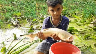 Hand Fishing In Wild | Primitive Survival | Primitive Technology | Fishing Video #fishing #primitive