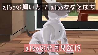 aiboのお月見2019