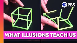 Can Illusions Teach Us How the Mind Works?