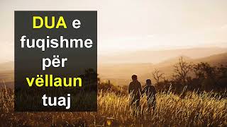 DUA e fuqishme per vellaun tuaj