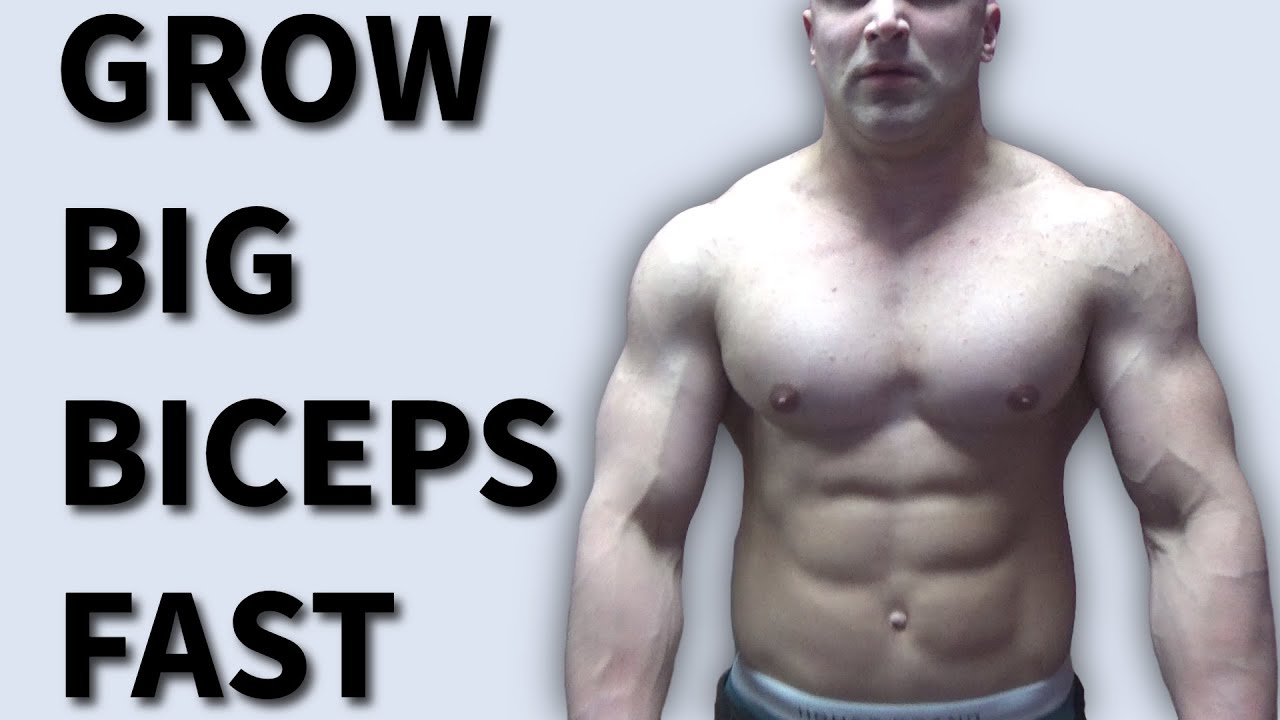 Tips For Building Big Biceps Fast Youtube